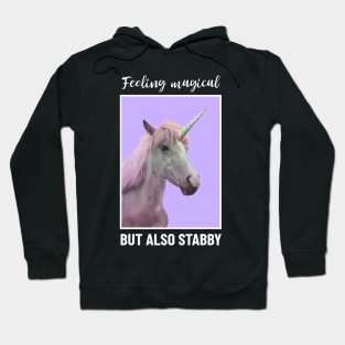 Feeling magical but also stabby Hoodie